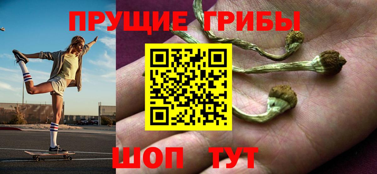 Галлюциногенные грибы мухоморы Новосибирск