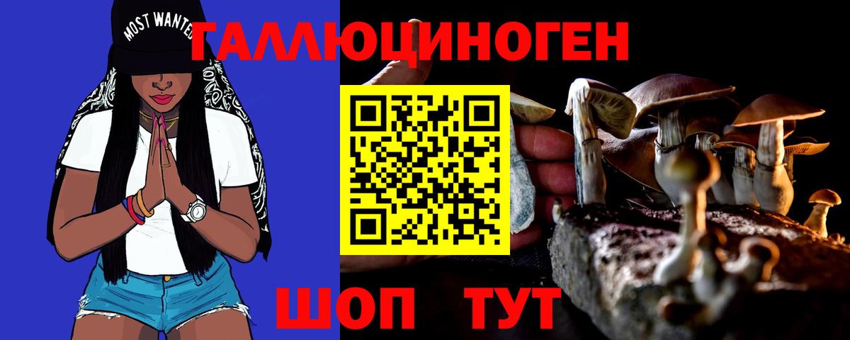Новосибирск  Псилоцибиновые грибы Magic Shrooms  Вход с VPN 
